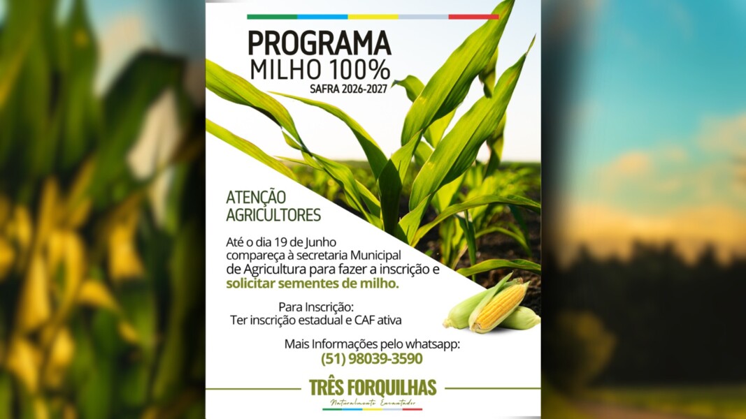 PROGRAMA MILHO 100%